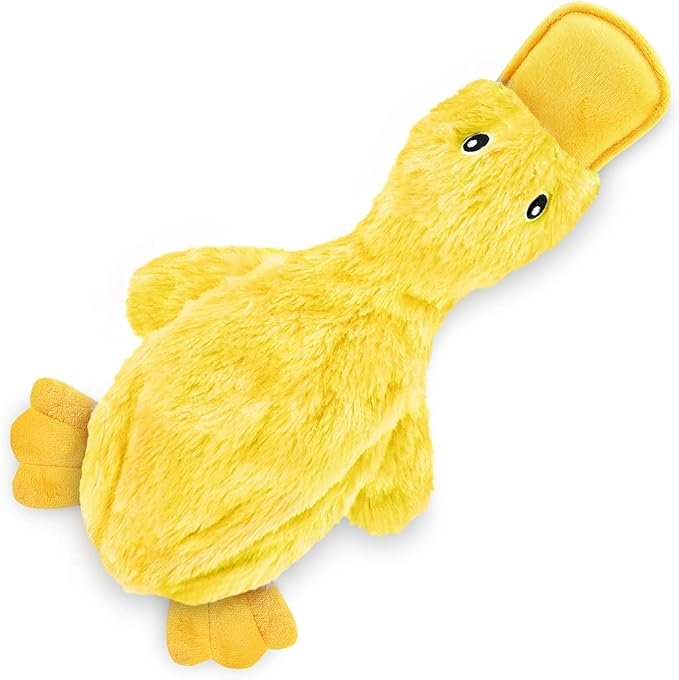 Best Pet Supplies Crinkle Dog Toy for Small, Medium, and Large Breeds